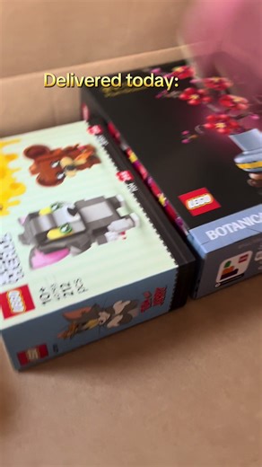 Oeps more delivered today🤪🤭 My birthday present, the beauty and the beast castle and a few little ones, and the beautiful #botanical because I’m not good with real plants /flowers Tomorrow I will build the Plum Blossom first ✨🏰 and can’t wait till the castle 🤩 #lego #legocollector #fyp