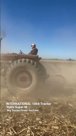 INTERNATIONAL 1066 Tractor Plowing #bigtractorpower #internationalharvester #tractor #plowing
