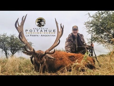 Poitahue Ranch - Norther Patagonia Red Stag hunting