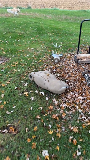 A big buck smashed my deer target! #Bowcamp #deerhunting #archery #whitetailfail | Bow Camp