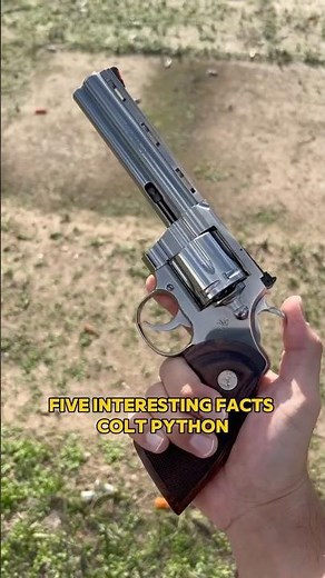 5 Interesting Facts: Colt Python