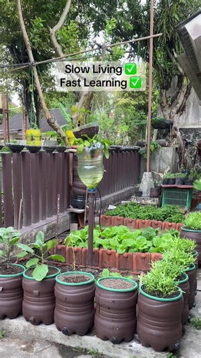 Slow Living and Fast Learning: Embrace Sustainable Practices