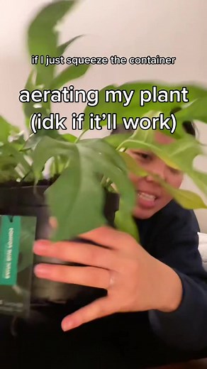 Aerating My Plant to Save It: Botany Experiment