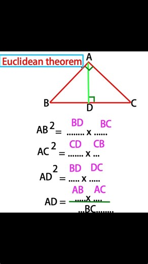 ‏Euclidean theorem #geometry #math