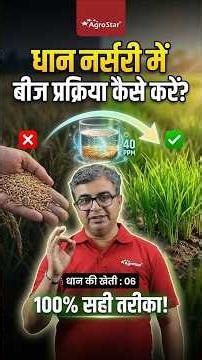 How to process seeds in paddy nursery | Rice Nursery Seed Treatment Guide | Paddy Farming | #shorts