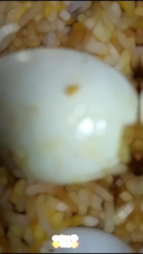 কত দিন পর বিরিয়ানি খেলাম ভাই 😍😍😍😋😋😋🤤🤤#biriyani #shortsfeed #youtubeshorts #loveit #minivlog