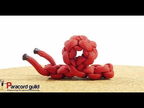 Paracord snail