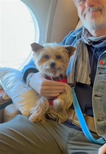 Which breed is your favourite? ❤️🐾 Moving to 🇪🇺Europe, 🇬🇧UK, 🇺🇸USA, 🇦🇪UAE or planning your next big trip? Wherever you’re heading, fly with the world’s first, leading pay-by-seat private jet service for pets and their owners, K9 JETS. There are over 5,000 reasons why so many families have already chosen us. ❤️ ✨ Why K9 JETS? ✅ Pets fly in the cabin, never in cargo ✅ ATOL-protected for peace of mind ✅ Simple pay-by-seat booking, no need to charter the whole jet ✅ Dedicated private termin