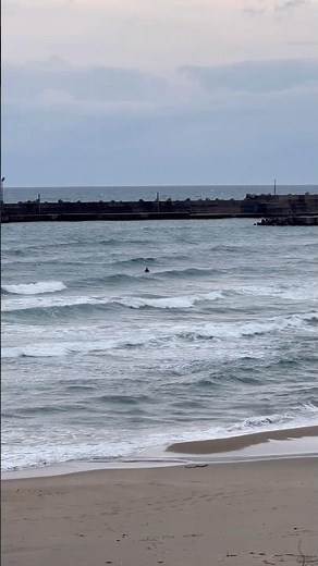 '26/5/4(月)鳥取 あさ 海の様子 波情報 鳥取サーフィン #tottori #japantrip #japansurf #surf #morningwaves