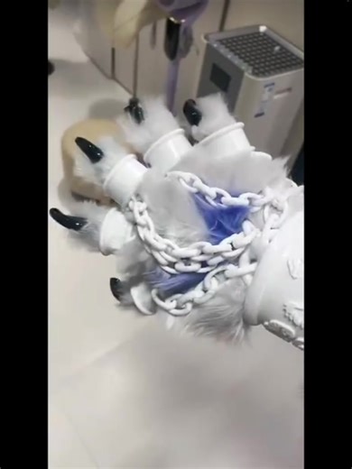 Explore the World of Furry Cosplay and Custom Fursuits