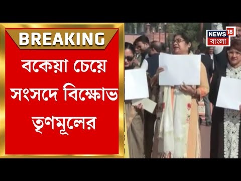 TMC News | কেন্দ্রীয় বঞ্চনার অভিযোগে সাদা কাগজ হাতে বিক্ষোভ তৃণমূল সাংসদদের | Bangla News