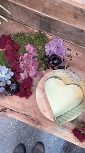 4.5K views · 19 reactions | Plant up your own living gift, straight from the heart. Tap to shop succulents, planters, and soil. And local friends, be sure to stop by the store to see what our talented Design by Terrain team has dreamed up for Valentine’s Day. https://shopterrain.visitlink.me/0IuMmh | terrain | Facebook