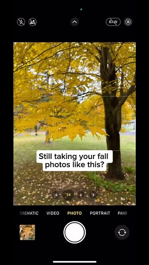Capturing Fall Photos with iPhone 17 Techniques