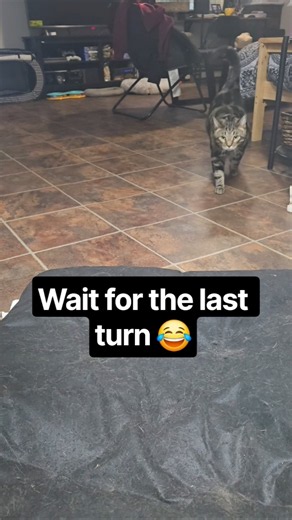 Gus Found a New Game 😂
