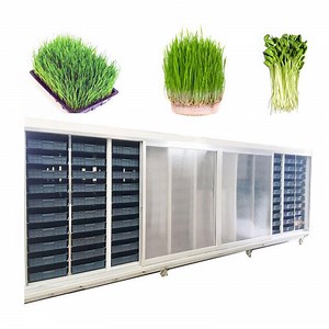[Hot Item] Automatic 1000kg Hydroponic Farming Systems Organic Fodder Sprout Machine for Sale
