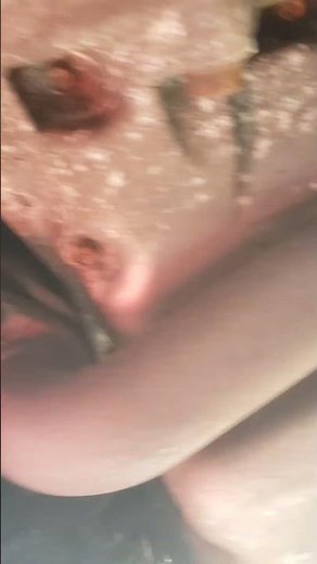 2011 honda pilot bank 2. Lower oxygen sensors locations