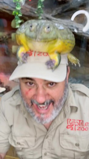 The size difference is wild 🐸 #learnontiktok #tiktokpartner #phrog