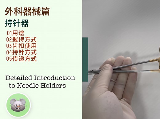【外科器械】持针器的握持使用、齿扣使用、 持针方法、传递存式以及注意事项