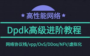 高性能网络开发：dpdk高级进阶教程（dpdk/网络协议栈/vpp/OvS/DDos/NFV/虚拟化/高性能专家）