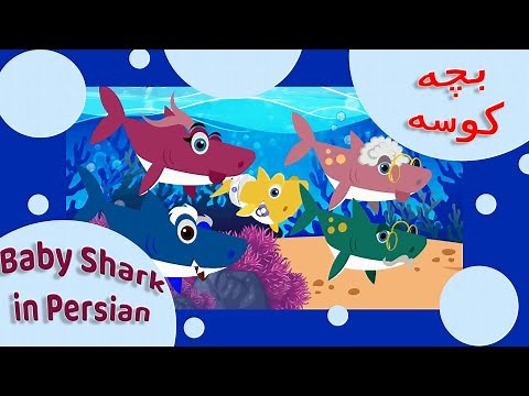 Persian children's songs | Baby Shark farsi | Bache Kooseh | ترانه های کودکانه فارسی | بچه کوسه