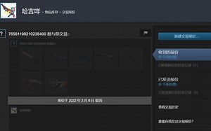玩家价值3000块钱饰品遭到窃取，csgo API劫持骗局升级