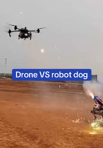 Drone Warfare: Battle Between Drone and Robot Dog