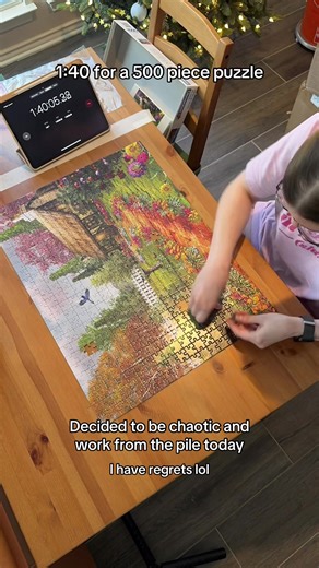 Challenging 500-Piece Jigsaw Puzzle Completion
