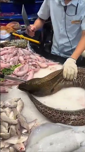 Deadly Stone Fish: The Most Venomous Fish in the World | Amazing Facts & Survival Tips"