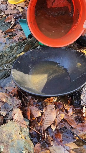 Getting that GOLD! #goldpanning #goldprospecting #mineral #gold #goldnuggets #goldfever #goldrush #goldpan | FishnGold