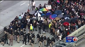 Demonstrators gather in downtown Miami for Black Lives Matter protest - WSVN 7News | Miami News, Weather, Sports | Fort Lauderdale