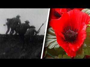 What is Remembrance Day?