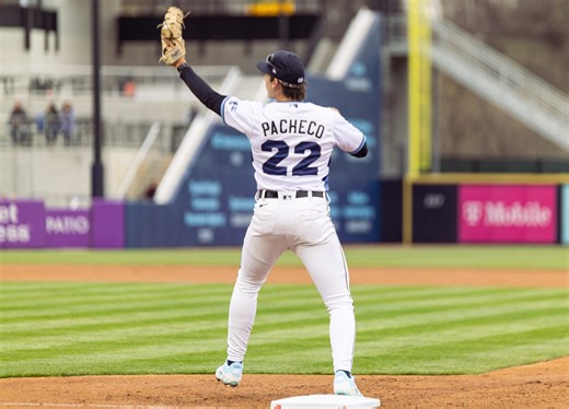 Tigers Top 50 Prospects List: 20-30 - Tigers Minor League Report