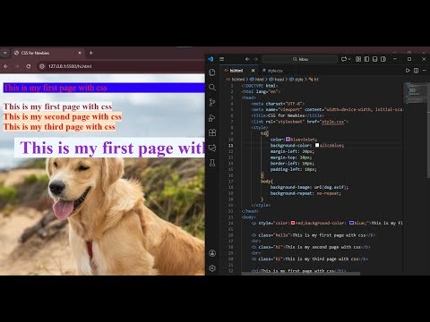 CSS Basics in Bengali | What is CSS? | Styling HTML Elements | Bangla Web Development Tutorial
