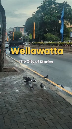 AD ⭐ on Instagram: "A small walk through Wellawatte ❤️🎬 #vlog #tamil #colombo #srilanka #trending #ilayaraja #viral #wellawatta"