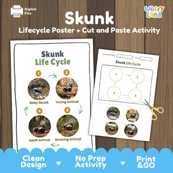 Skunk Life Cycle Activity Worksheet | Forest Animal Life Cycles Poster Cut Paste