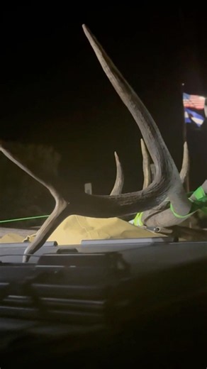 The signs of a successful elk hunt! Tines sticking above the bed and a cooler full of meat! #elk