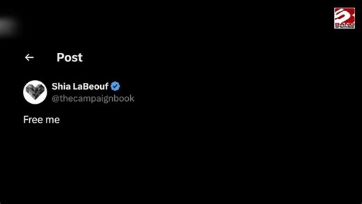 Shia LaBeouf breaks silence over arrest with â€˜free meâ€™ social media message