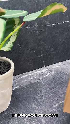 2.3K views · 21 reactions | Save money on test kits and experience a...