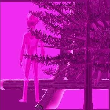 Pink Forest