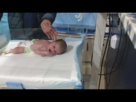 Proper Bottle Feeding Technique | Beginner-Friendly Guide