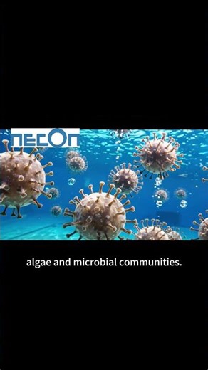 How to maintain pool water quality without relying on chlorine disinfectants?