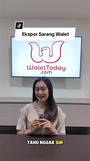 Siapa sangka, sarang walet dari Indonesia bisa tembus sampai pasar dunia 😍 #WaletToday #BisnisWalet #EksporIndonesia #SarangWalet