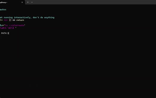 WSL2使用Windowds的python