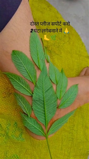 पैर की एड़ी की लीफ मेहंदीडिजाइन#easymehndidesign #hennastencilsindia #hennadesign #hennadesign #sim