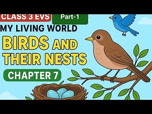 Class 3/My Living World Chapter 7 Birds and their nests/Explanation and Important Questions/EVS