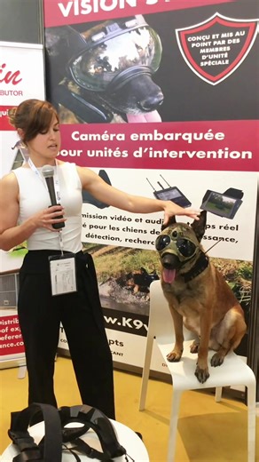 K9 Vision System : K9-mounted camera systems developed by special operations veterans for military and law enforcement. Come discover our systems! www.k9vision.fr #k9 #k9vision #dogcamera #k9camera #cameradog @MorinFrance