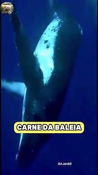 O Que Realmente Acontece Quando Uma Baleia-Azul Morre?