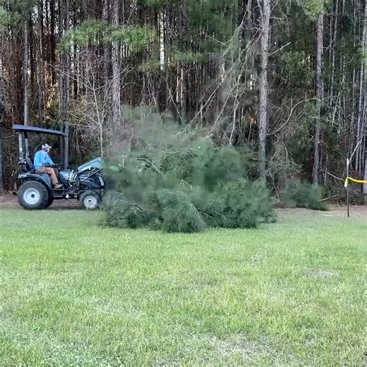 Adding Trees to Our Brush Pile #BrushPile #CompactTractorWork #LandManagement #TreeCleanup | Piney Grove Homestead and Mini Farm