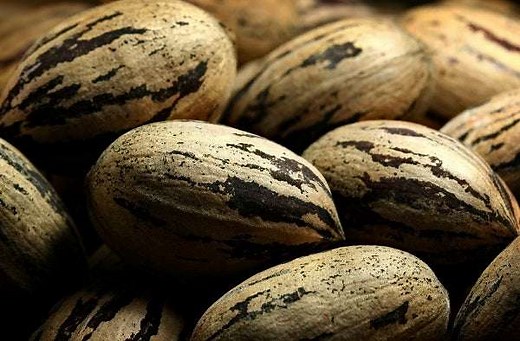 How to Sell Your Pecans - Bag-A-Nut
