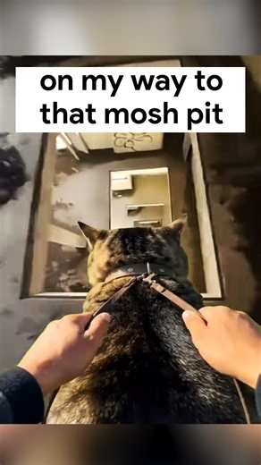 On my way to that Mosh Pit 🤘 #metal #deathmetal #moshpit #heavymetal #deathcore